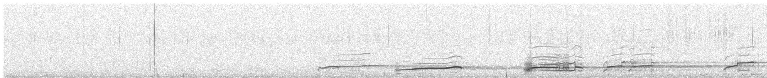 Brachvogel - ML416498851