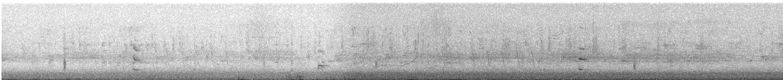 Common Gallinule - ML416516011