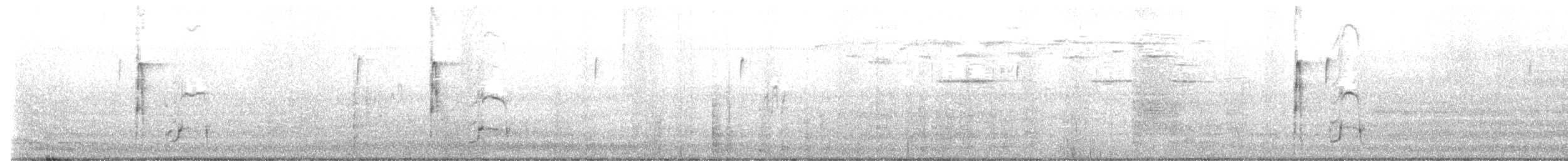 Groove-billed Ani - ML416694651