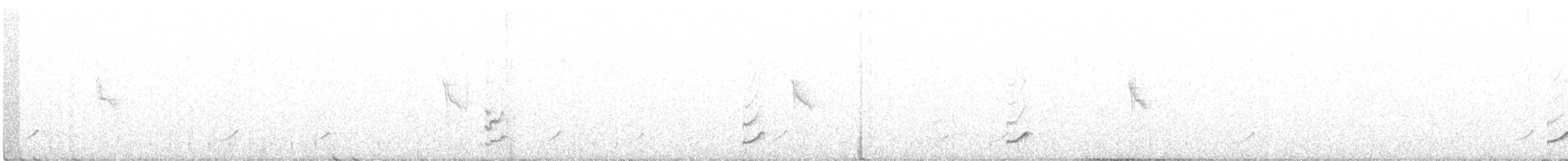 Phainopepla - ML416696761