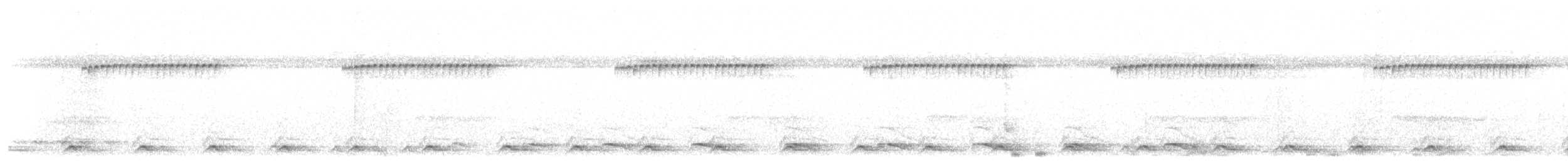 Blue-tailed Trogon - ML416715041