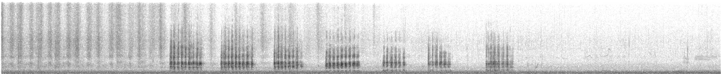 Koartza zuria - ML416738641