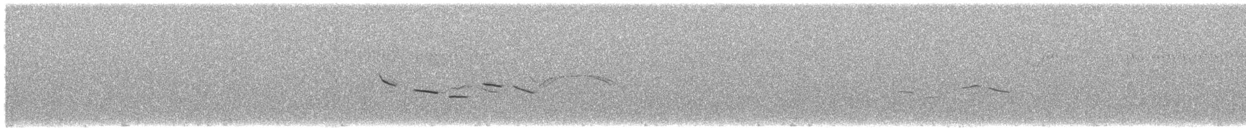 Tawny-bellied Seedeater - ML416756371