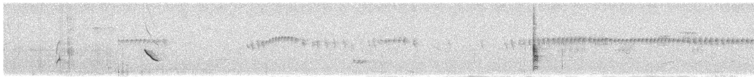 Sporophile gris-de-plomb - ML416757581