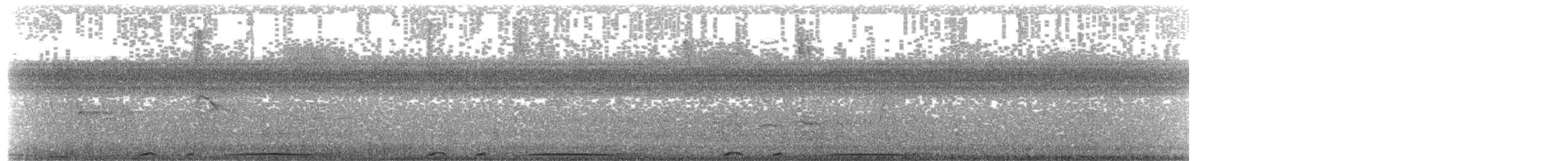 holub neotropický - ML416769341