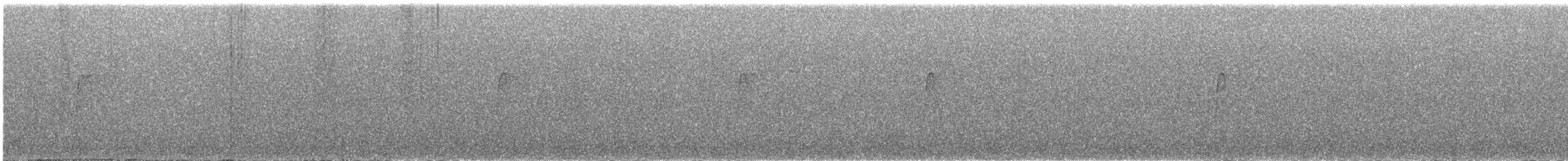 Черноухий тираннчик - ML416891241