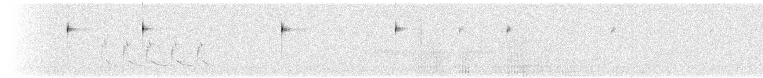 Schwarzkehlammer - ML416911651