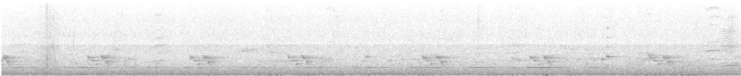 Желтогрудый радужник (substriatus) - ML41693001