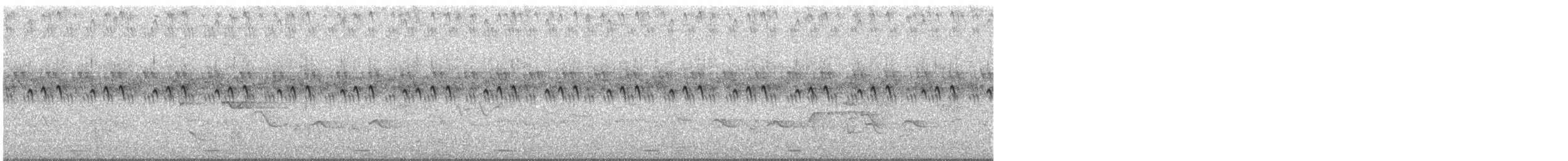 Лібія-зубодзьоб плямистовола - ML416944311