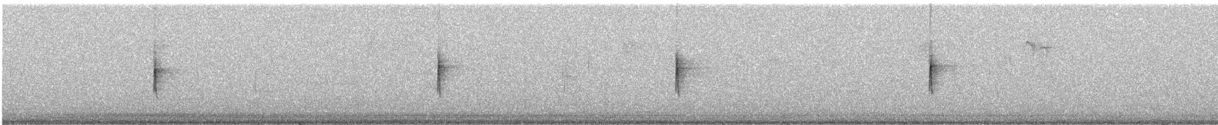 キヅタアメリカムシクイ（coronata） - ML41694441