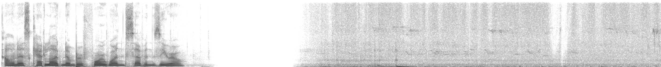 Zone-tailed Hawk - ML4170