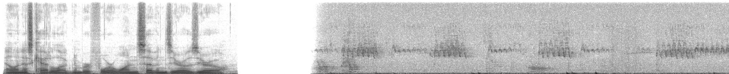 Northern Bald Ibis - ML41700