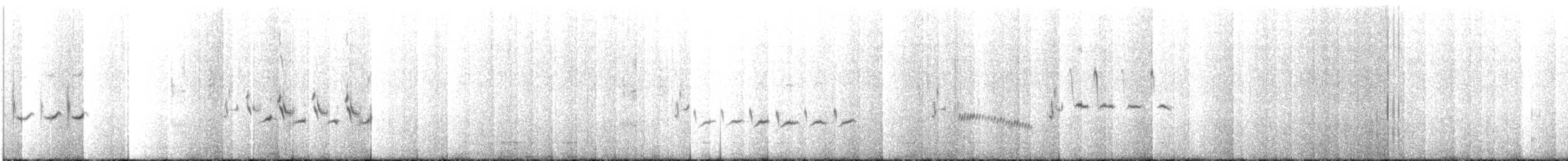 Grass Wren (Austral) - ML417016441