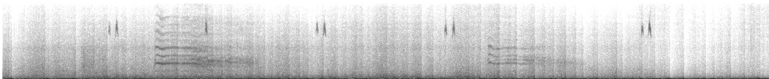 Трясохвіст острівний (підвид antarcticus) - ML417019631