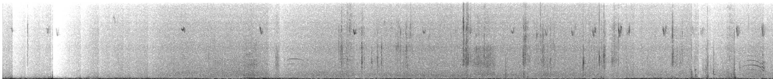 Трясохвіст острівний (підвид antarcticus) - ML417023751