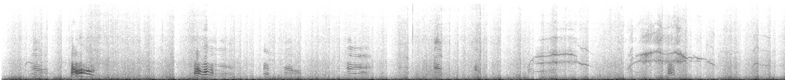 Kahverengi Korsanmartı (antarcticus) - ML417026051