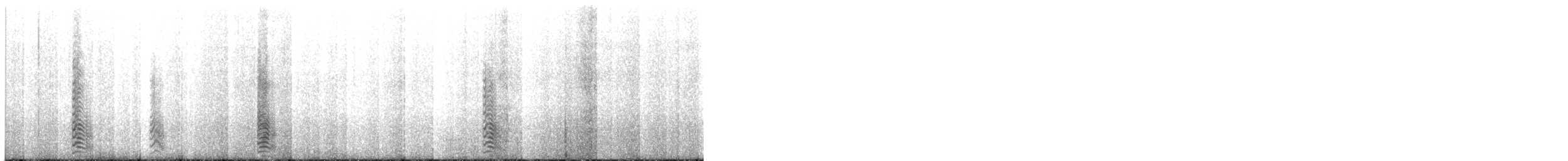 Kahverengi Korsanmartı (antarcticus) - ML417026141