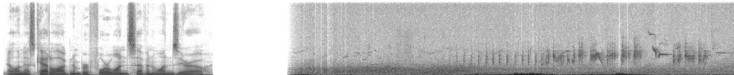 Kara Kulaklı Kuyrukkakan - ML41710