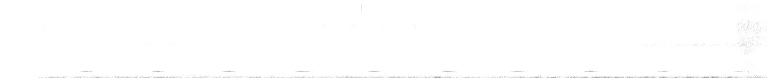 セアカウズラバト - ML417150301