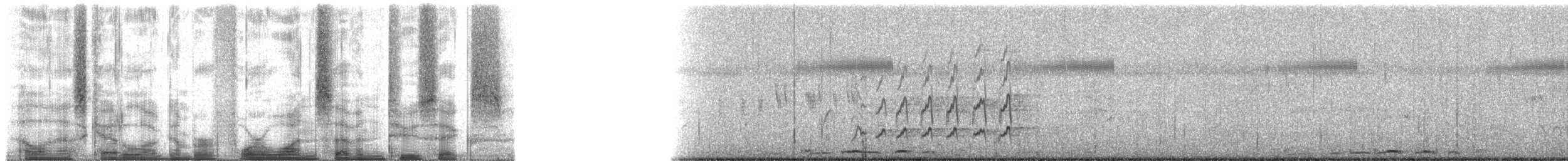brunmaskevever - ML41726