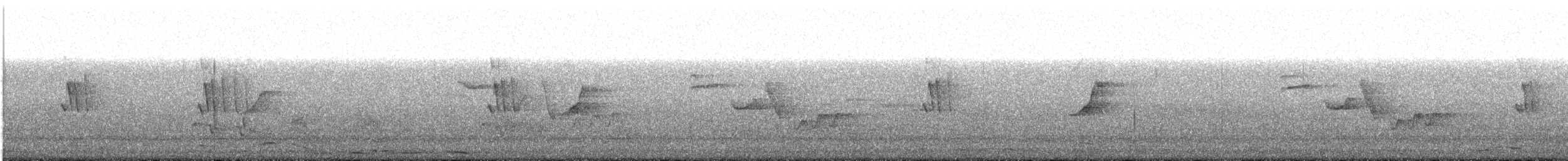 bird sp. - ML417260541