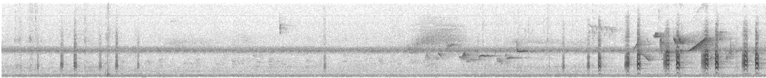 Acorn Woodpecker (Narrow-fronted) - ML417293491