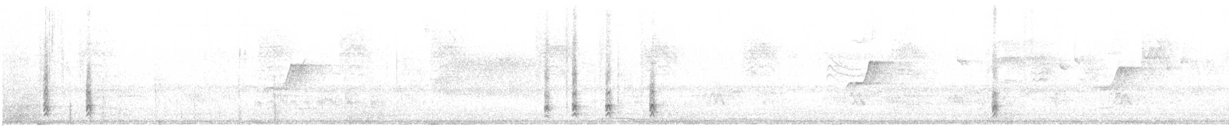 Merle d'Amérique (confinis) - ML417294781