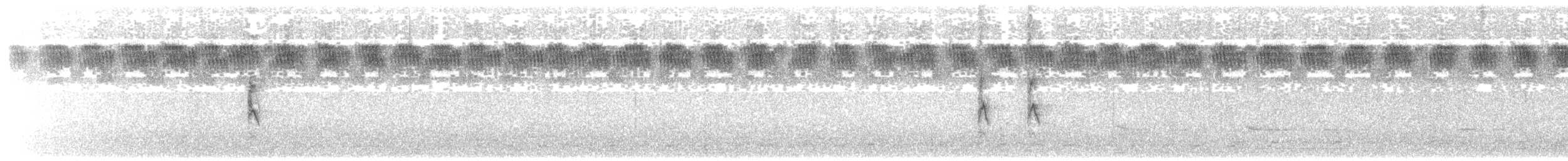 fagersolfugl (pulchellus) - ML417358311