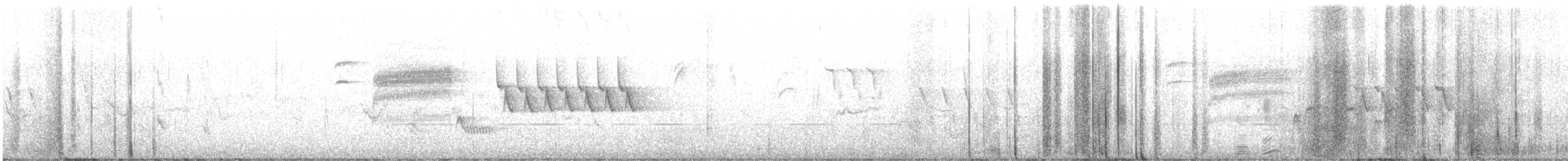 Bewick's Wren - ML417373741
