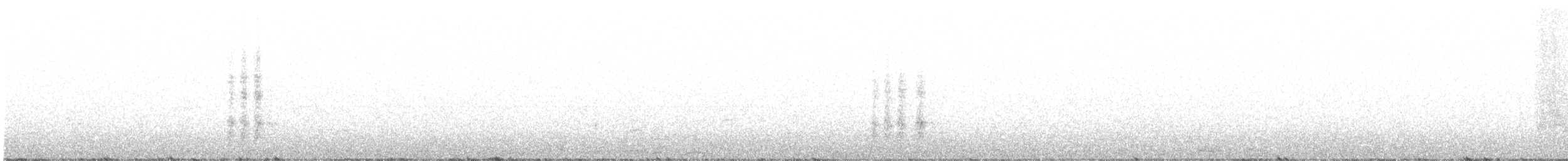 maghrebskjære - ML417546771