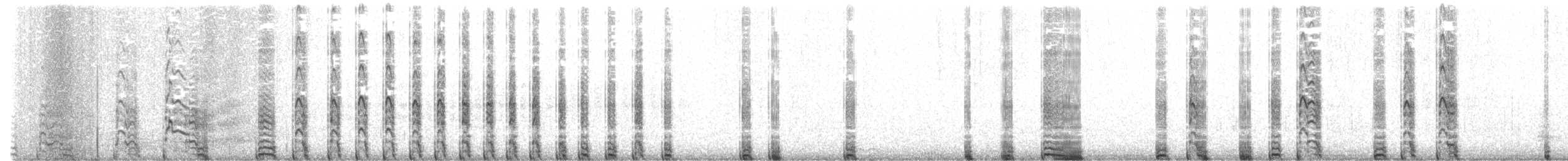 Weißkinn-Sturmvogel - ML417616501