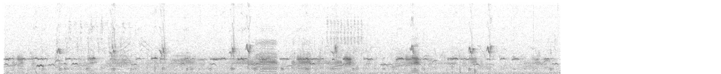 Çamurcun (carolinensis) - ML417679611