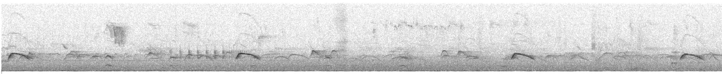 White-crested Elaenia (Chilean) - ML417865571