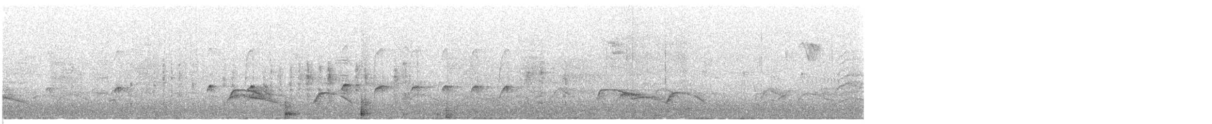 Des Murs's Wiretail - ML417873851