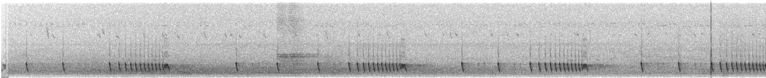 Indiennachtschwalbe - ML417912691