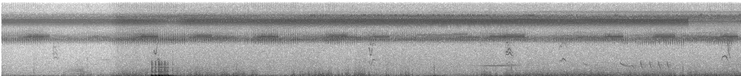 Braunscheitel-Olivtyrann - ML41792831