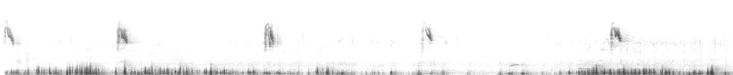 konipas luční (ssp. thunbergi) - ML41798021