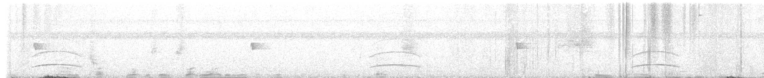 mørkhettetyrann (lawrenceii gr.) - ML418148931