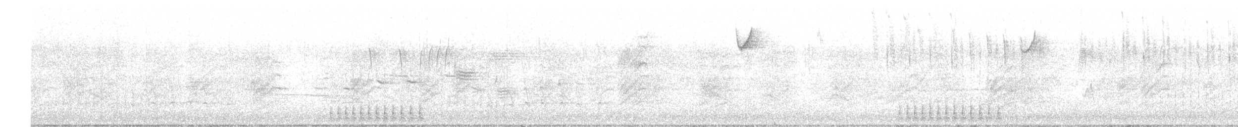strakapoud osikový - ML418257161
