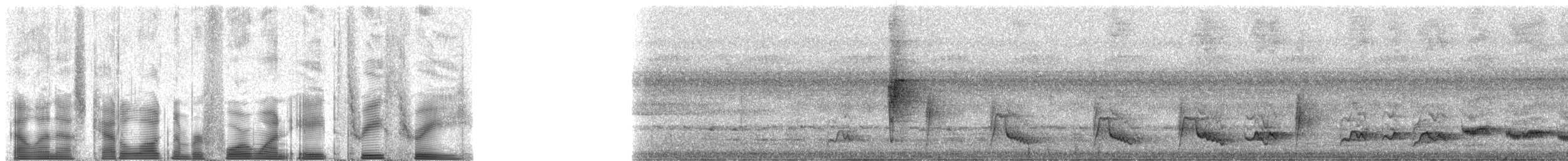 Olive-green Camaroptera - ML41833