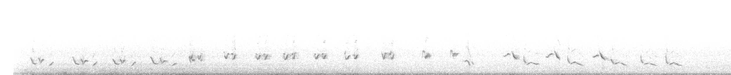 Northern Mockingbird - ML418350041