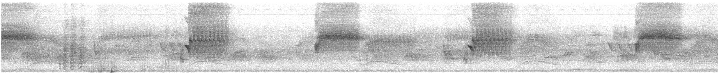 Гіла чорновола (підвид angustifrons) - ML418513761