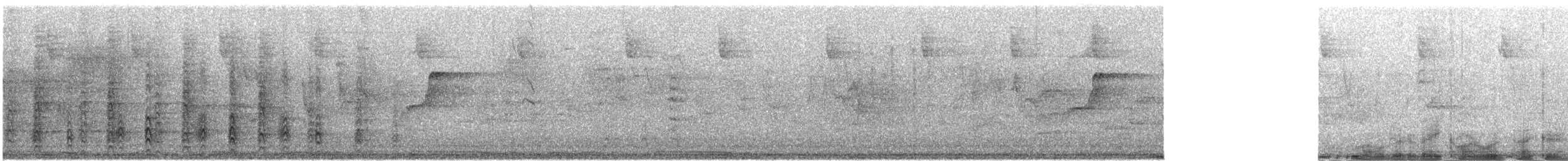 Гіла чорновола (підвид angustifrons) - ML418516541