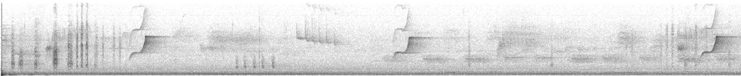 Гіла чорновола (підвид angustifrons) - ML418551891
