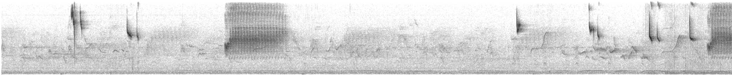Colibri de Xantus - ML418552521
