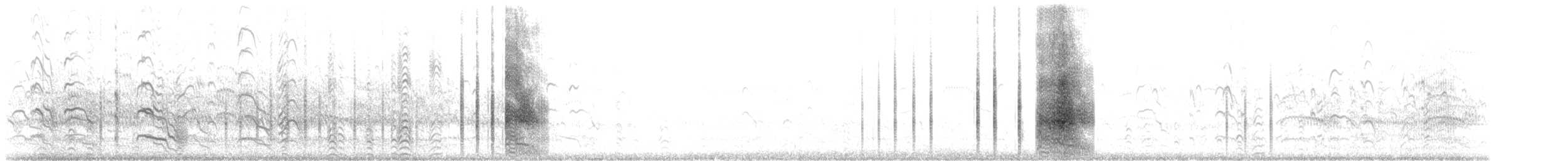 Common Tern - ML418562021