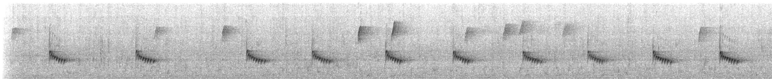 Carolina Wren - ML418600471