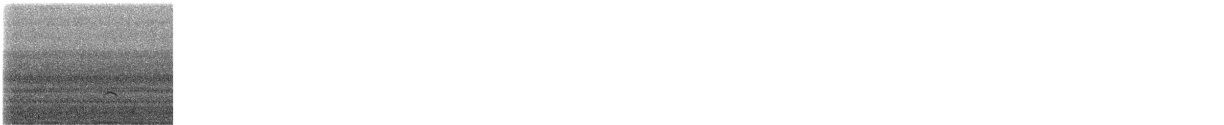 Swainson's Thrush (Olive-backed) - ML418601891