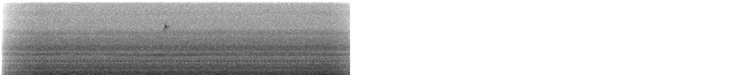 passerine sp. - ML418604421