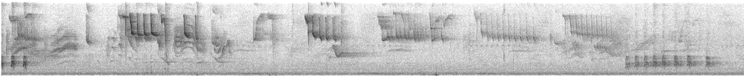 Schwarzstirn-Saphirkolibri - ML418621551